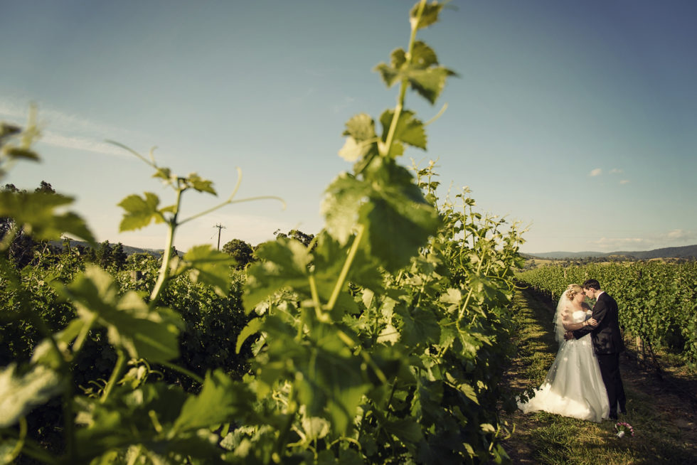 Bryce & Jessica - Mandala Winery Wedding Photography, Yarra Valley Wedding Photography, Yarra Valley Wedding Photographer, Immerse Photography, Winery Weddings, Mandala Weddings