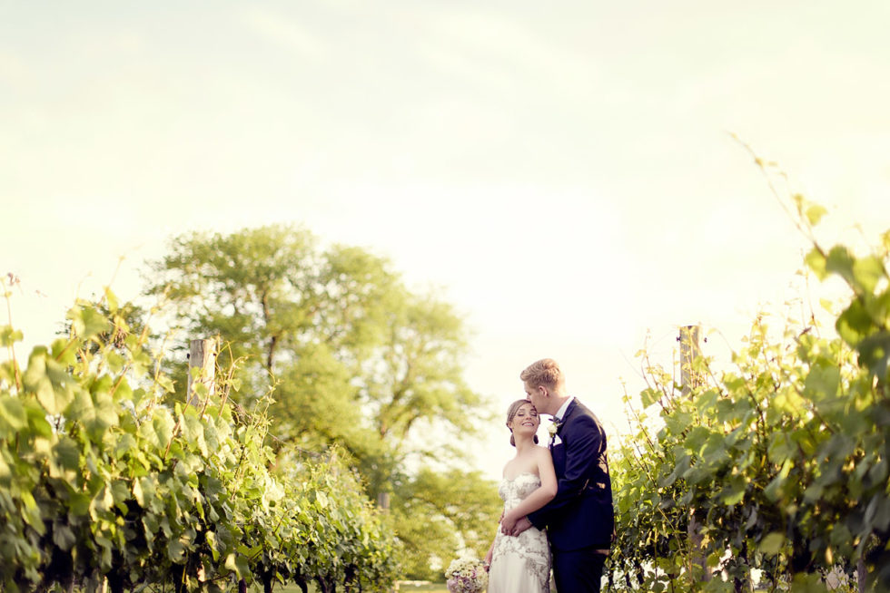 Tom & Ele - Stones of the Yarra Valley Wedding Photography, Wedding Photography, Immerse Photography, Wedding Photographer, Wedding Photography, Melbourne Wedding Photographer, Yarra Valley Weddings, Yarra Valley Wedding Photos, Yarra Valley Wedding Photographer, Stones of the Yarra Valley Photographer, Stones of the Yarra Valley Weddings, Yarra Valley Wedding Photographer, Romance, Love, Weddings, Bride, Bridesmaids, Branches of Shikan, Wedding Portraits, Chapel, Groom, Bridal Party, Reception, Vineyard