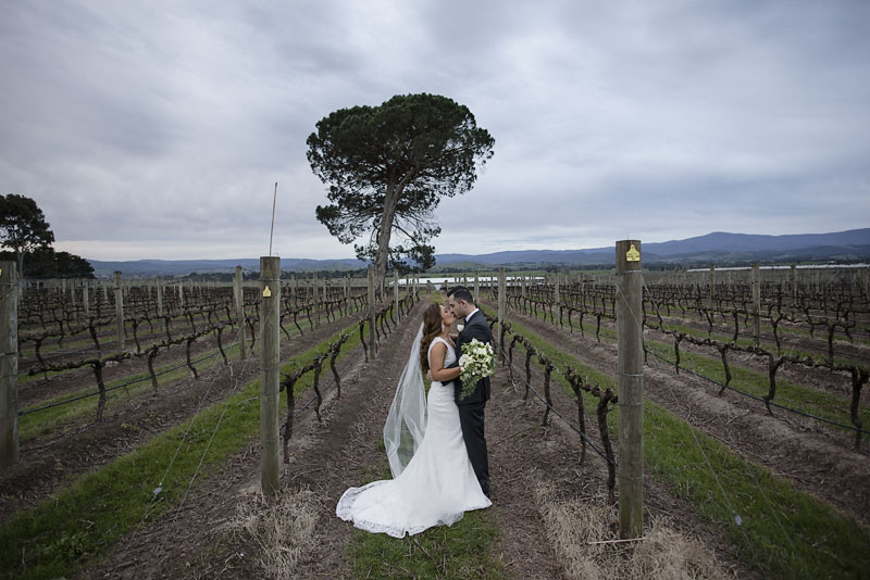 Stones of the Yarra Valley Wedding, Stones of the Yarra Valley Wedding Photography, Yarra Valley Wedding Photographer, Yarra Valley Wedding Photography, Jane Hill Bridal, Always Classic Cars, The Farmhouse, Groom, Groomsman, Wedding Rings, Ceremony, Bride, Ido, Chapel at Stones