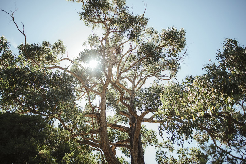 Yarra Ranges Estate, Yarra Ranges Estate Wedding Photos, Yarra Ranges Estate Weddings. Yarra Ranges Estate Photography. Yarra Valley Wedding Photography, Rustic Barn Wedding, Madden's Rise Wedding