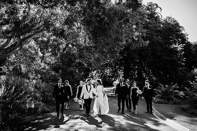 Quatt Quatta Wedding, Quat Quatta Wedding Photos, Melbourne Botanical Gardens Wedding, Garden Wedding, Weddings of Distinction, Marianna Hardwick wedding dress, Prinzi Groom Suit, Always Classic Cars, Classic Bouquets Florals