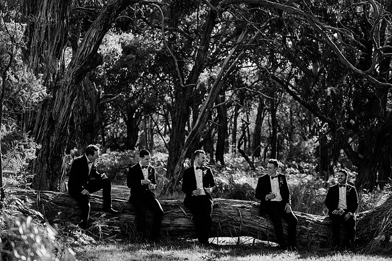 Tanglewood Estate Wedding, Tanglewood Estate Rustic Venue, Mornington Peninsula Wedding, Mornington Peninsula Wedding Photographer, Rustic Wedding Venue, Tanglewood Wedding, Peninsula Wedding, Immerse Photography, Berwick Wedding Photographer