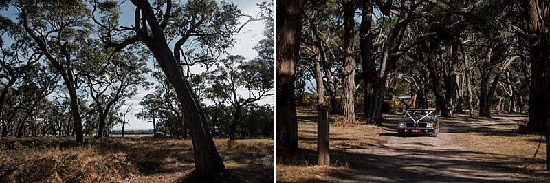 Tanglewood Estate Wedding, Tanglewood Estate Rustic Venue, Mornington Peninsula Wedding, Mornington Peninsula Wedding Photographer, Rustic Wedding Venue, Tanglewood Wedding, Peninsula Wedding, Immerse Photography, Berwick Wedding Photographer